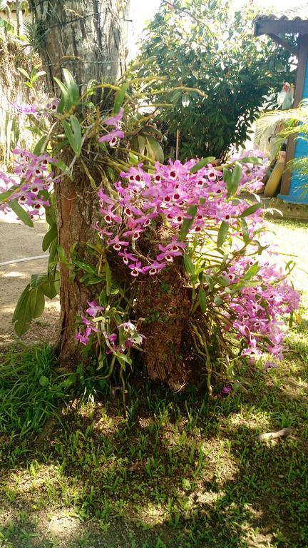 Estacao Paraiso Chale Bertioga Luaran gambar